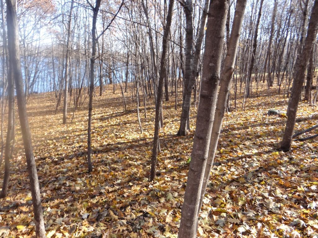 XXX7 Serenity Lane SW Alexandria MN 56308 - Turtle Lake 7053907 image9