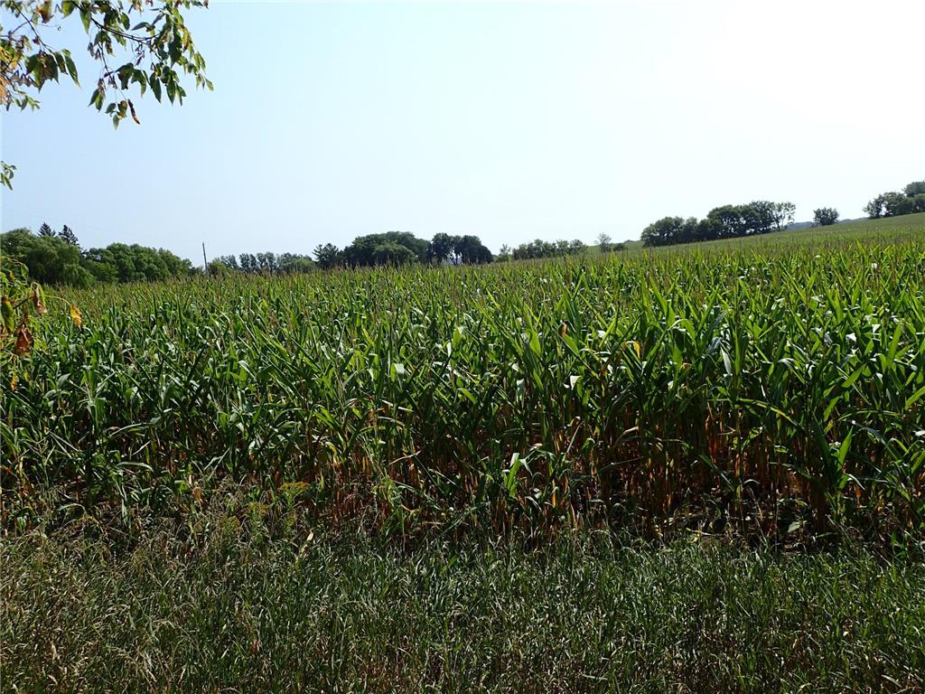 XXXE Fannon Avenue SE Delano MN 55328 6321404 image1