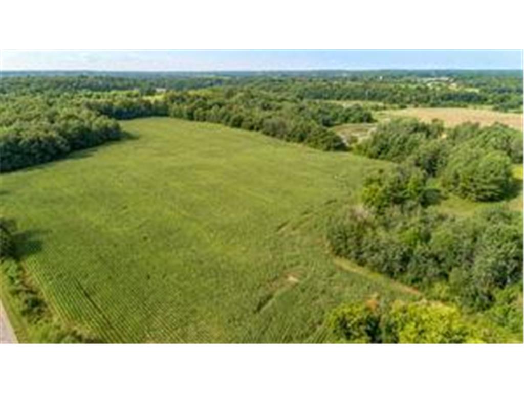 XXXX 101st Street Apple River Twp WI 54001 6507842 image1