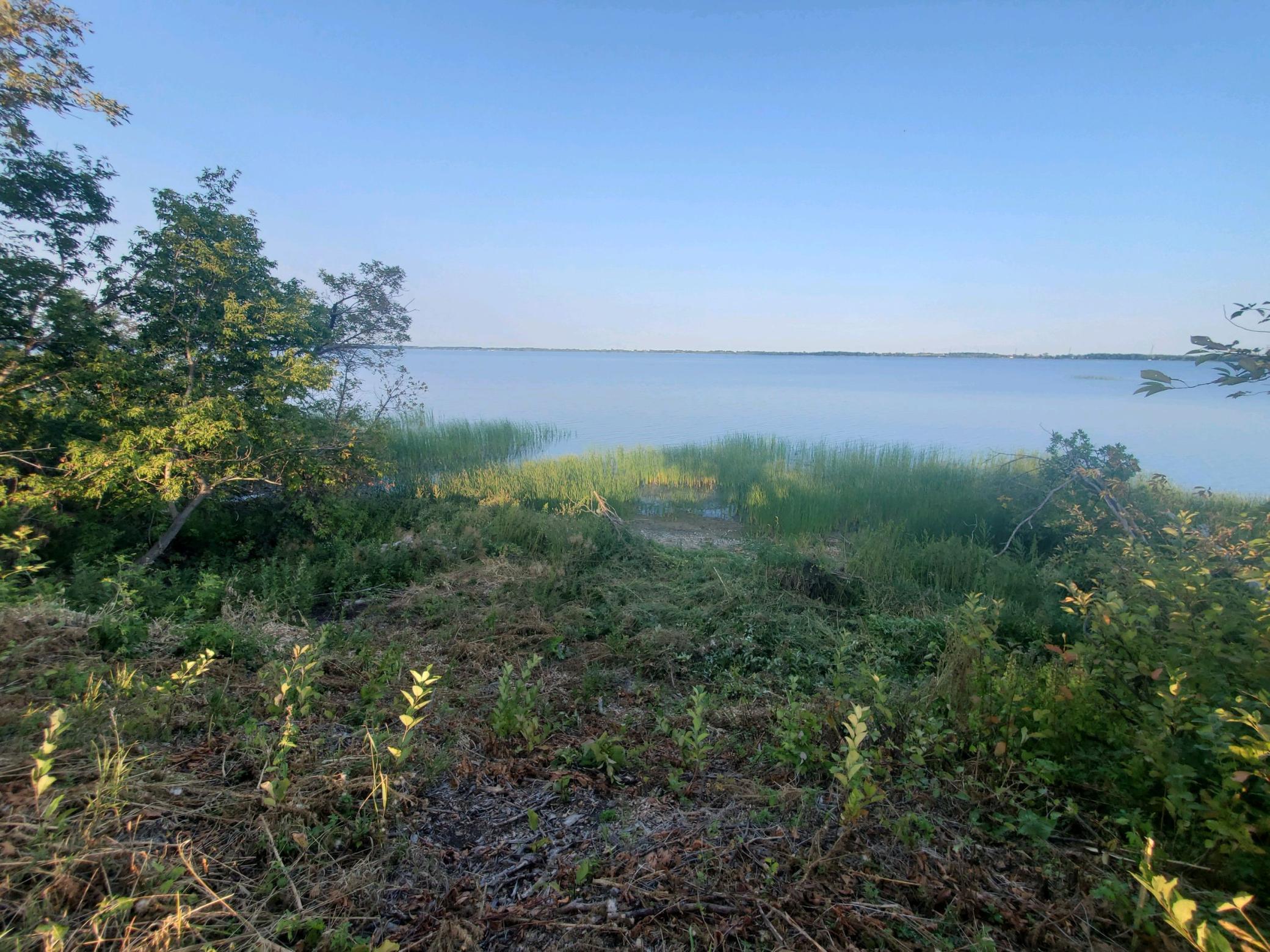 XXXX 119th Street, Reno Twp, MN, 56349 MLS 6088567 Edina Realty