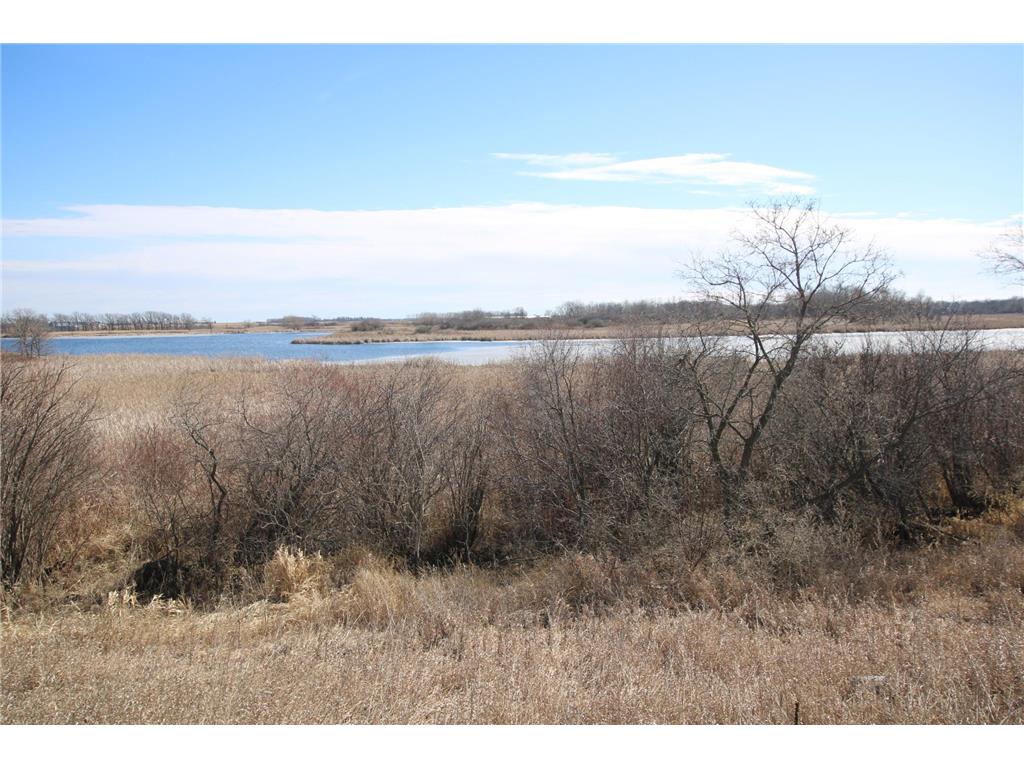 XXXX 135th Street Westport Twp MN 56385 - Westport 6499595 image1