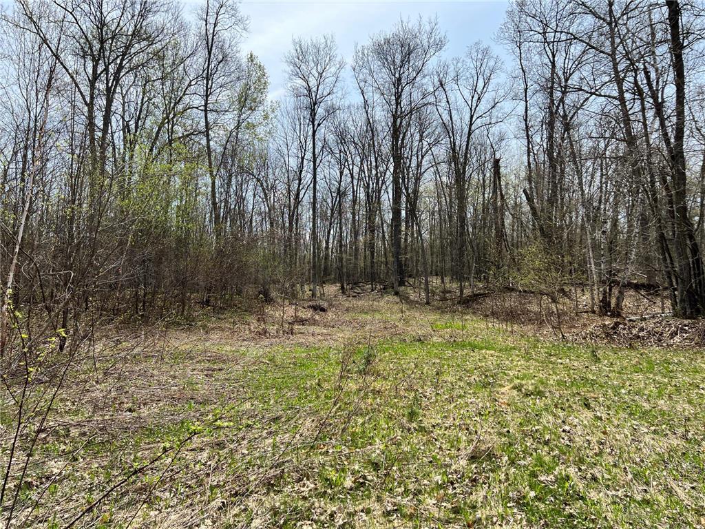 XXXX 140th Ave, Balsam Lake Twp, WI, 54810 MLS 6372248 Edina Realty