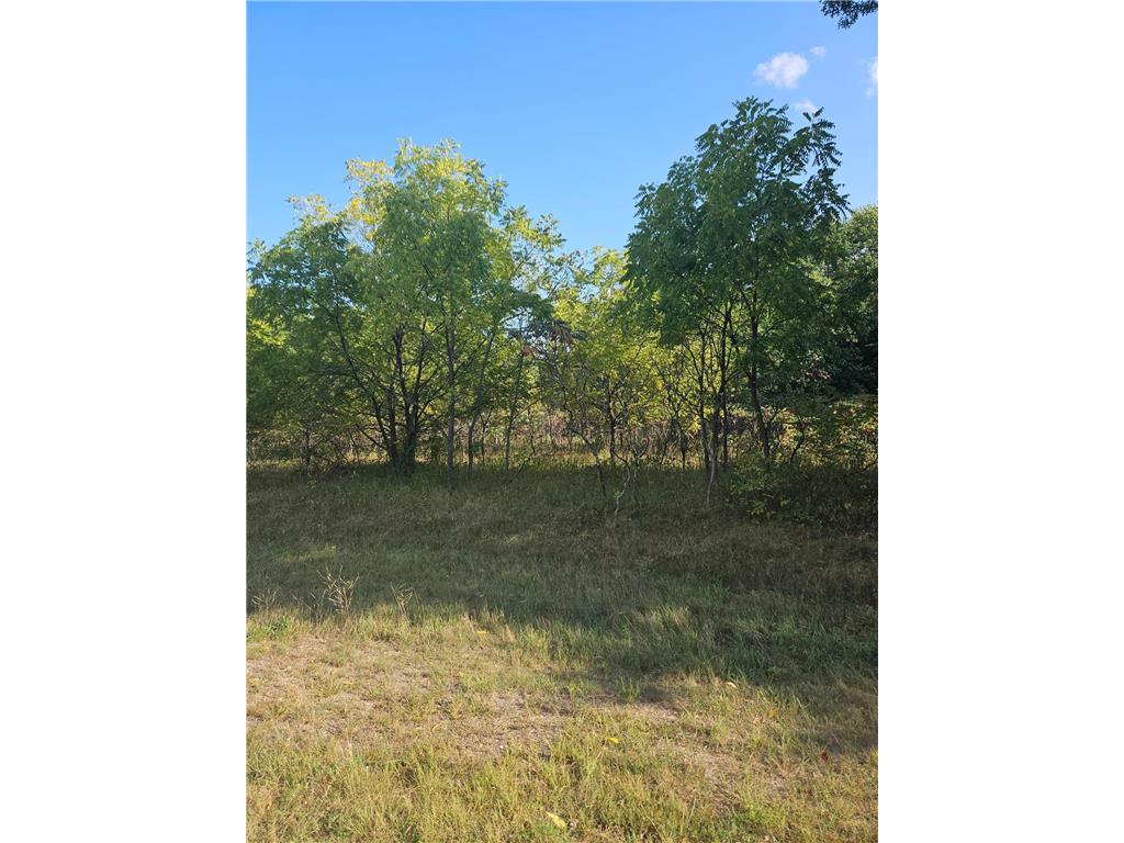 XXXX 152nd Ave Wabasha MN 55981 6435398 image1