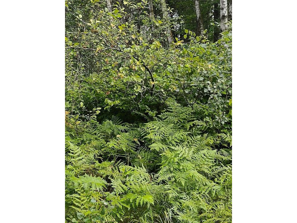 XXXX 159th Avenue Sebeka MN 56477 6760117 image11