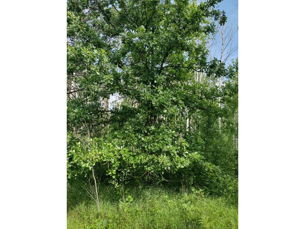 XXXX 159th Avenue Sebeka MN 56477 6760117 image18