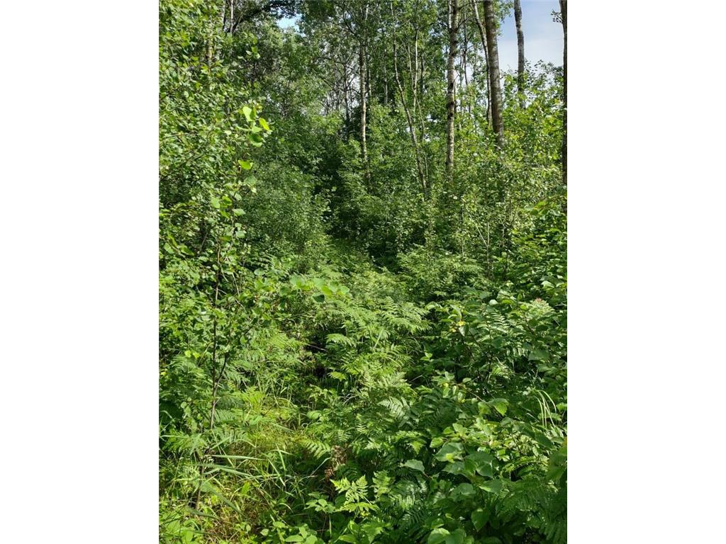 XXXX 159th Avenue Sebeka MN 56477 6760117 image19