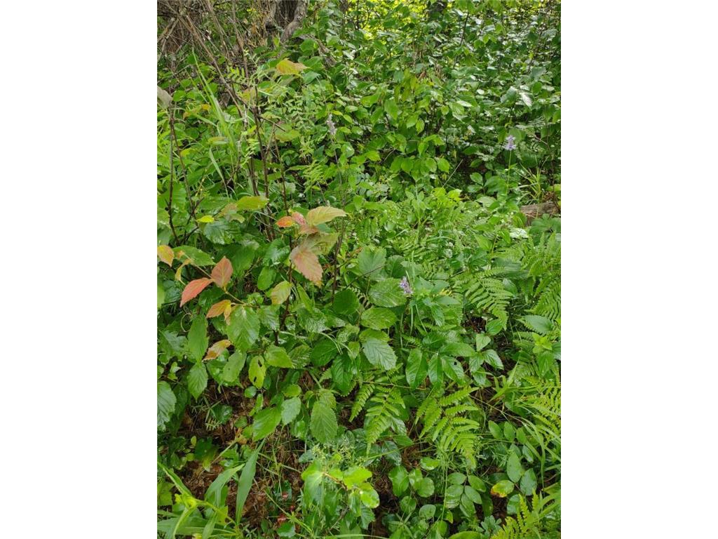 XXXX 159th Avenue Sebeka MN 56477 6760117 image20