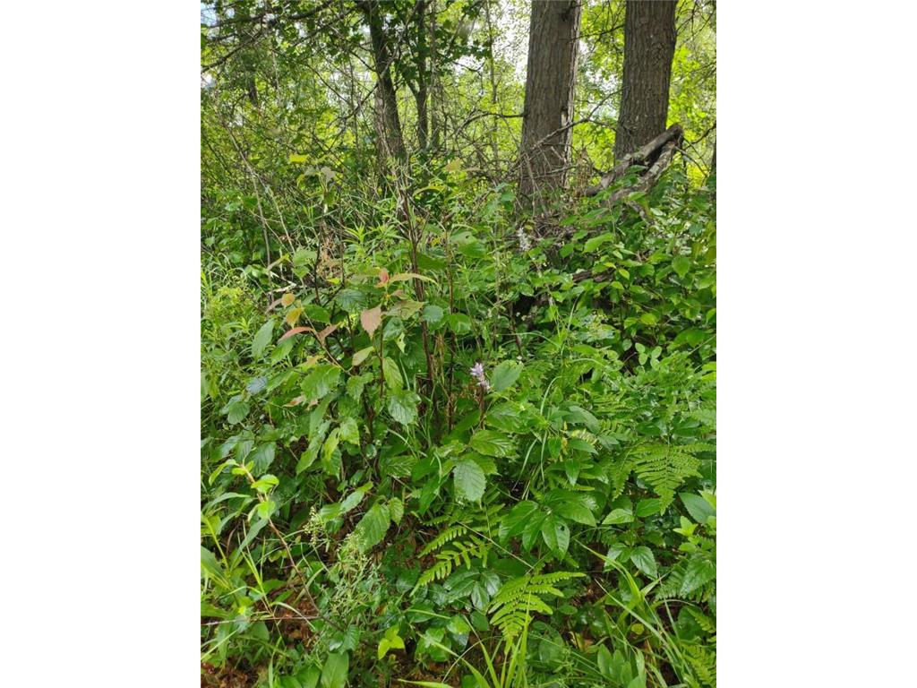 XXXX 159th Avenue Sebeka MN 56477 6760117 image21