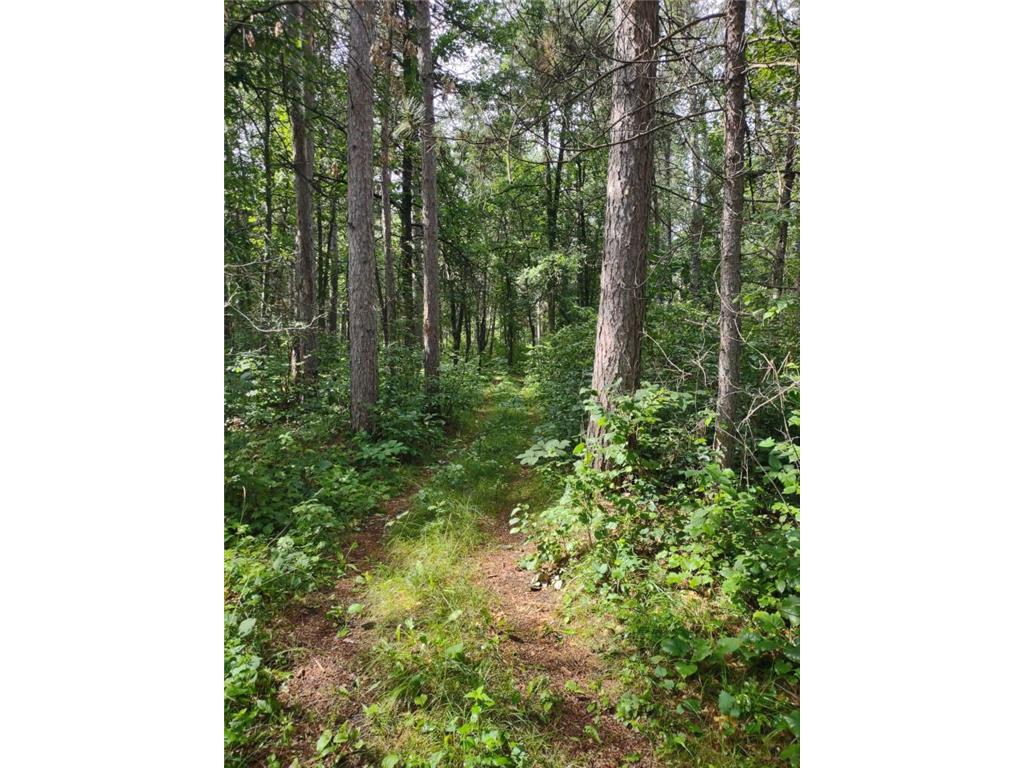 XXXX 159th Avenue Sebeka MN 56477 6760117 image22