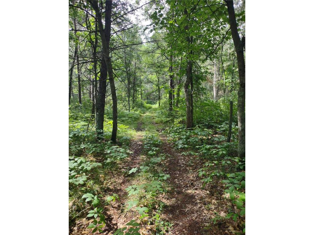 XXXX 159th Avenue Sebeka MN 56477 6760117 image23