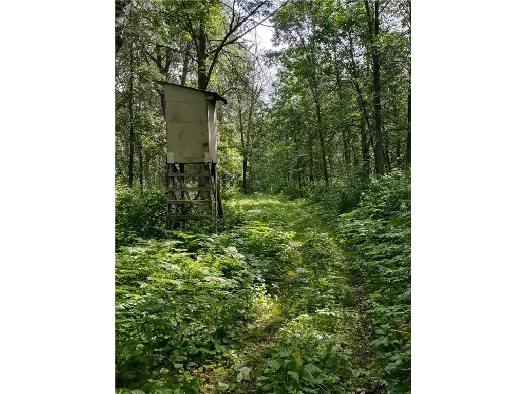 XXXX 159th Avenue Sebeka MN 56477 6760117 image25