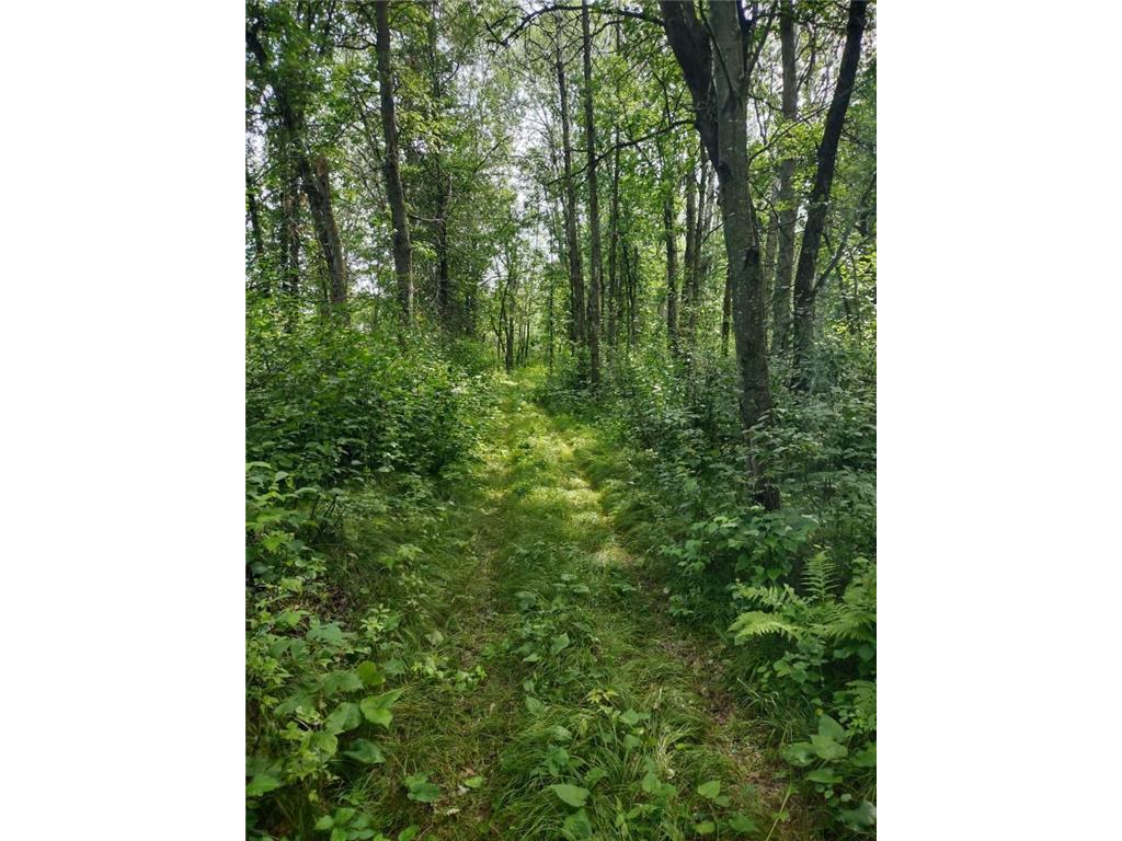 XXXX 159th Avenue Sebeka MN 56477 6760117 image26