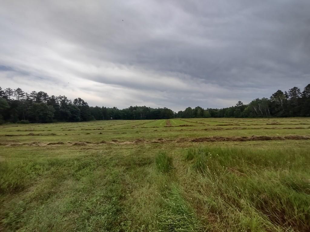 XXXX 159th Avenue Sebeka MN 56477 6760117 image3