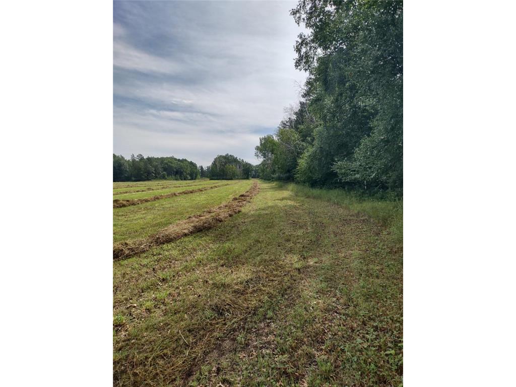 XXXX 159th Avenue Sebeka MN 56477 6760117 image33