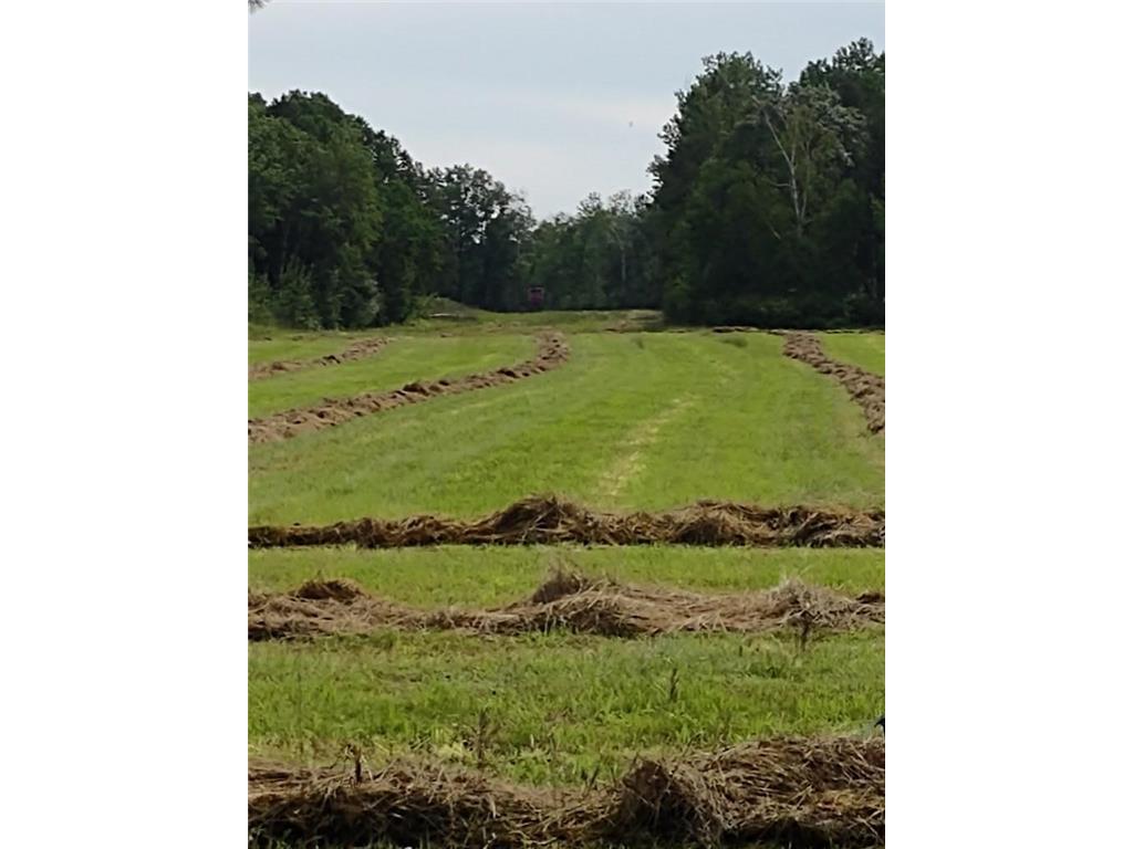 XXXX 159th Avenue Sebeka MN 56477 6760117 image35