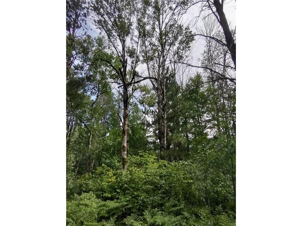 XXXX 159th Avenue Sebeka MN 56477 6760117 image4