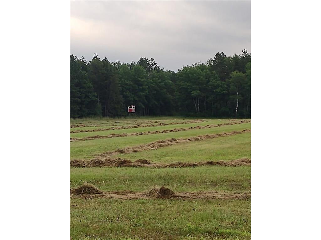 XXXX 159th Avenue Sebeka MN 56477 6760117 image7