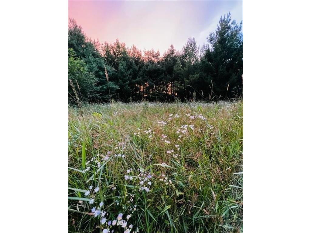 XXXX 170th Street Milaca MN 56353 6352876 image1