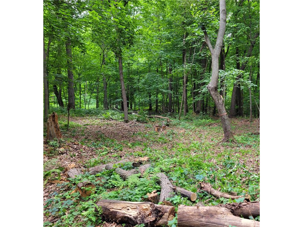 XXXX 211th Street Eureka WI 54853 6576130 image1