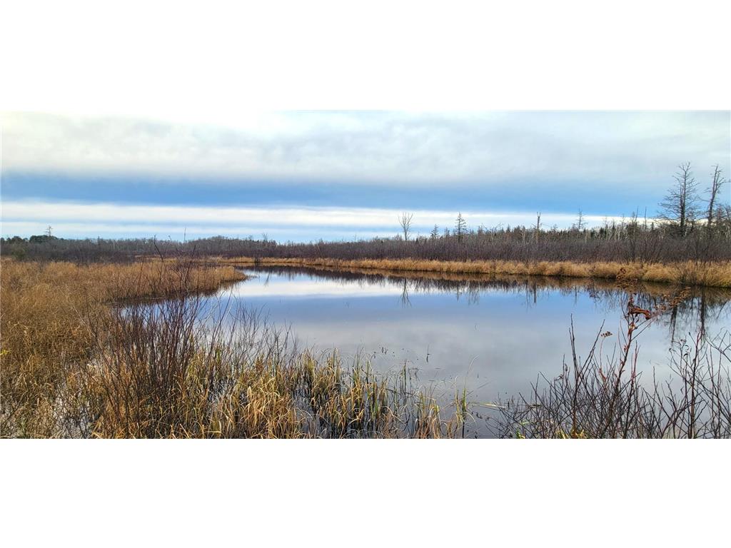 XXXX 228th Lane, Mcgrath, MN 56350 MLS 6309562 Edina Realty