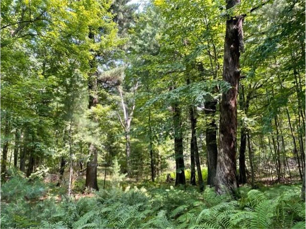 XXXX 249th Avenue NE Oxford Twp MN 55079 6414394 image1