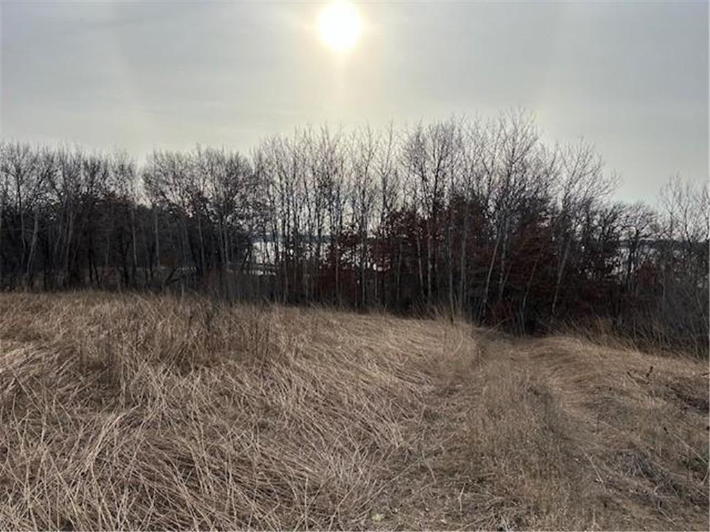 XXXX 273rd Ave NW Livonia Twp MN 55330 - Fremont 6647596 image3