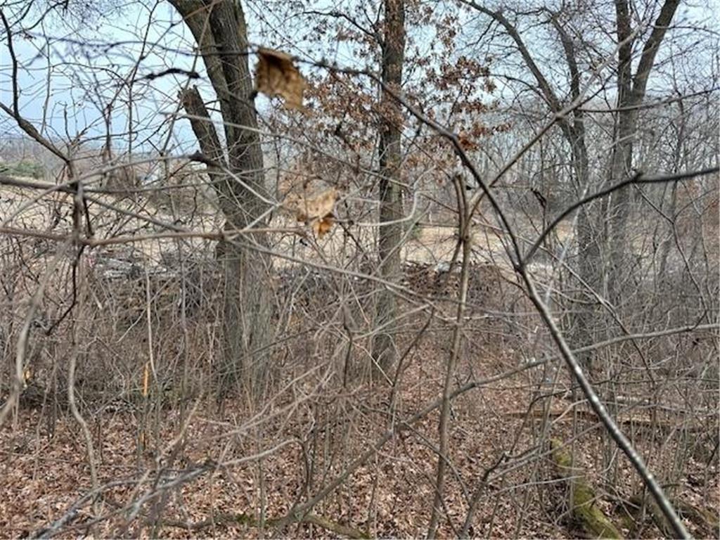 XXXX 273rd Ave NW Livonia Twp MN 55330 - Fremont 6647596 image4