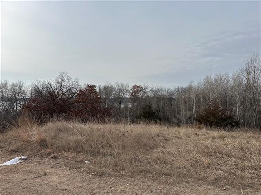 XXXX 273rd Ave NW Livonia Twp MN 55330 - Fremont 6647596 image5