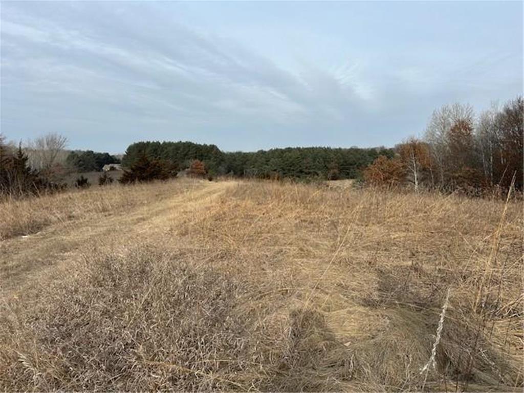 XXXX 273rd Ave NW Livonia Twp MN 55330 - Fremont 6647596 image6