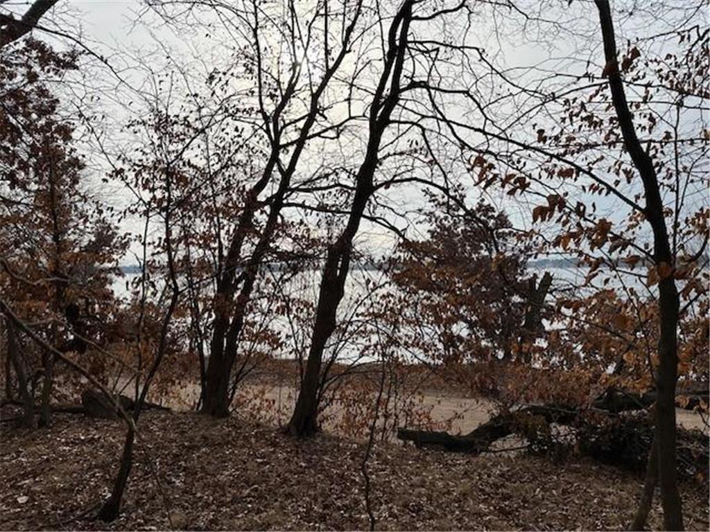 XXXX 273rd Ave NW Livonia Twp MN 55330 - Fremont 6647596 image9