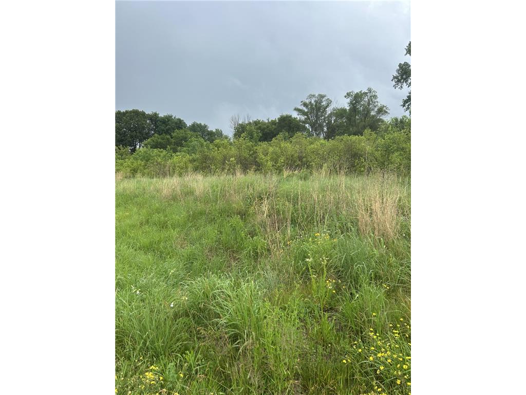 XXXX 280th Street Waterford Twp MN 55057 6744989 image5