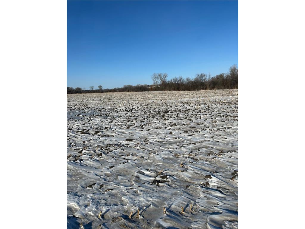 XXXX 285th (180 Acres) Street Greenvale Twp MN 55057 - Chub Creek 7012420 image10