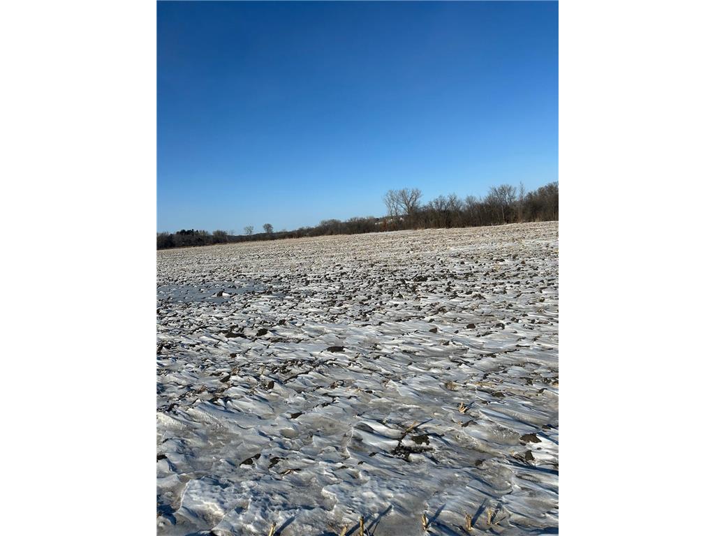 XXXX 285th (180 Acres) Street Greenvale Twp MN 55057 - Chub Creek 7012420 image11