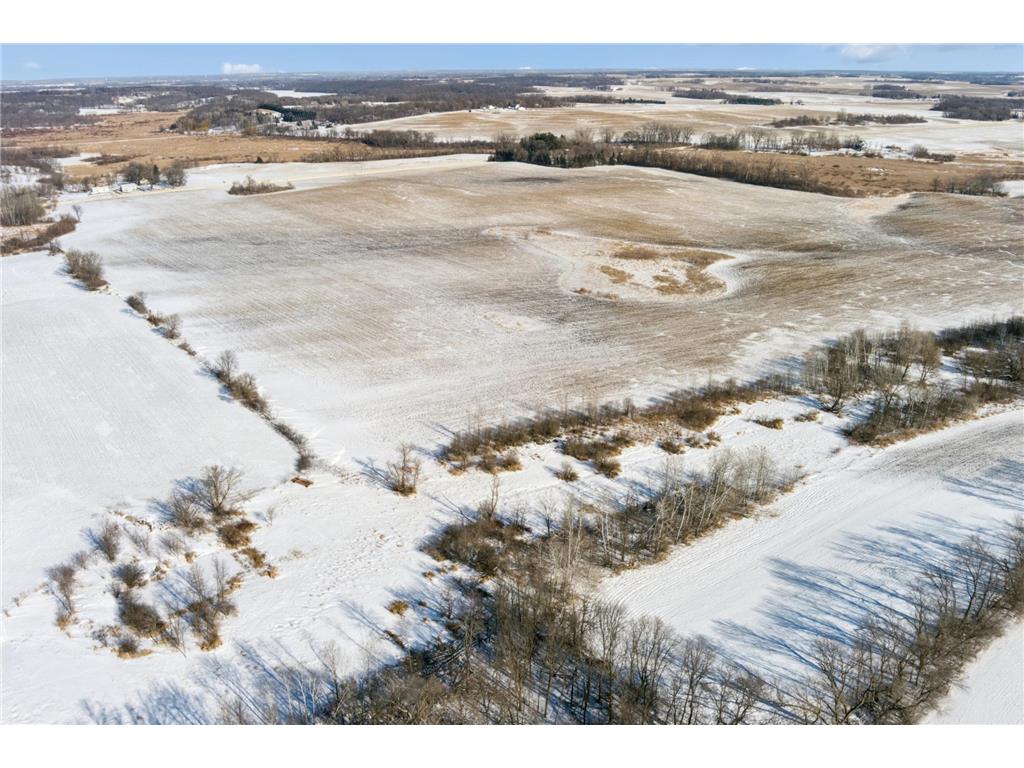 XXXX 285th (180 Acres) Street Greenvale Twp MN 55057 - Chub Creek 7012420 image15