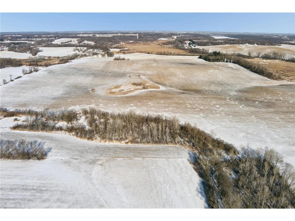 XXXX 285th (180 Acres) Street Greenvale Twp MN 55057 - Chub Creek 7012420 image16