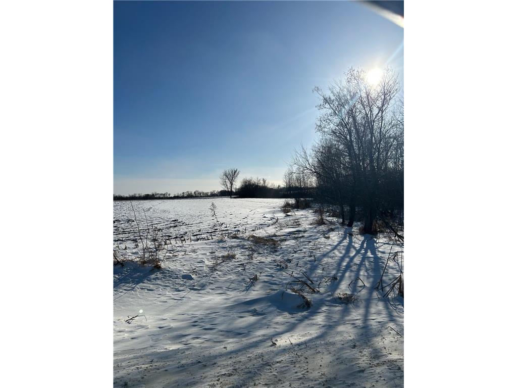 XXXX 285th (180 Acres) Street Greenvale Twp MN 55057 - Chub Creek 7012420 image2