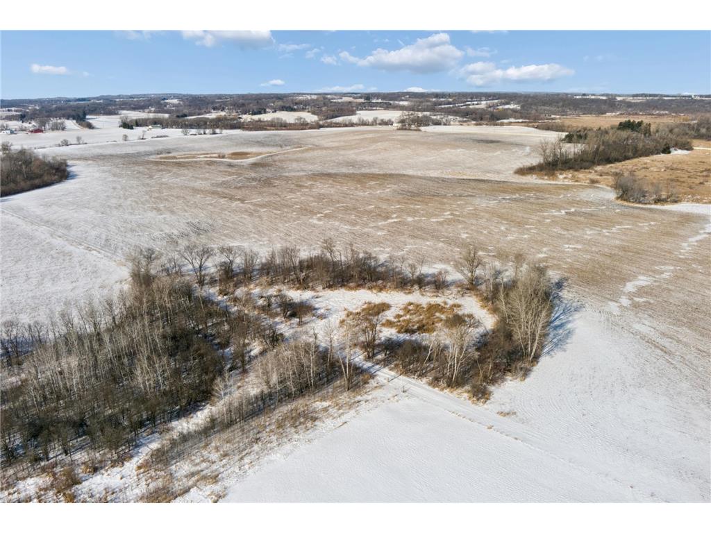 XXXX 285th (180 Acres) Street Greenvale Twp MN 55057 - Chub Creek 7012420 image20