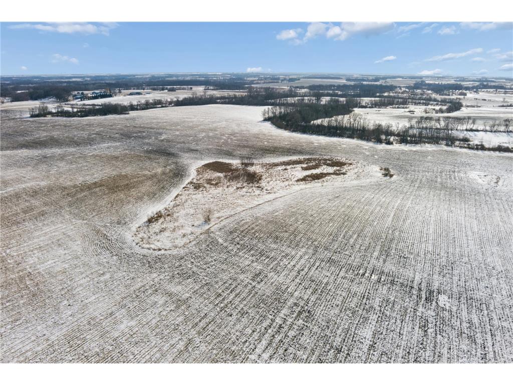 XXXX 285th (180 Acres) Street Greenvale Twp MN 55057 - Chub Creek 7012420 image22