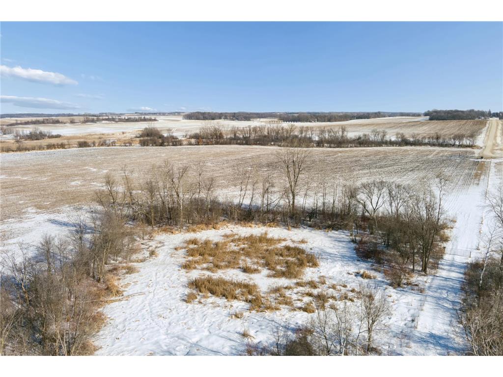 XXXX 285th (180 Acres) Street Greenvale Twp MN 55057 - Chub Creek 7012420 image28