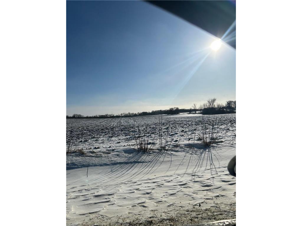 XXXX 285th (180 Acres) Street Greenvale Twp MN 55057 - Chub Creek 7012420 image3
