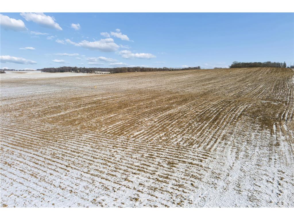 XXXX 285th (180 Acres) Street Greenvale Twp MN 55057 - Chub Creek 7012420 image30