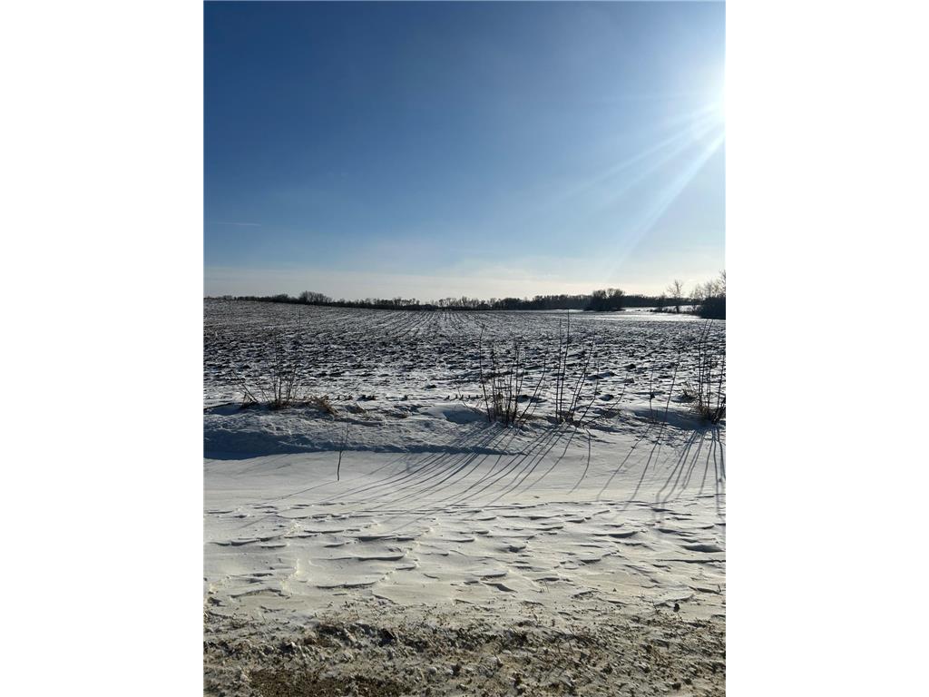 XXXX 285th (180 Acres) Street Greenvale Twp MN 55057 - Chub Creek 7012420 image4