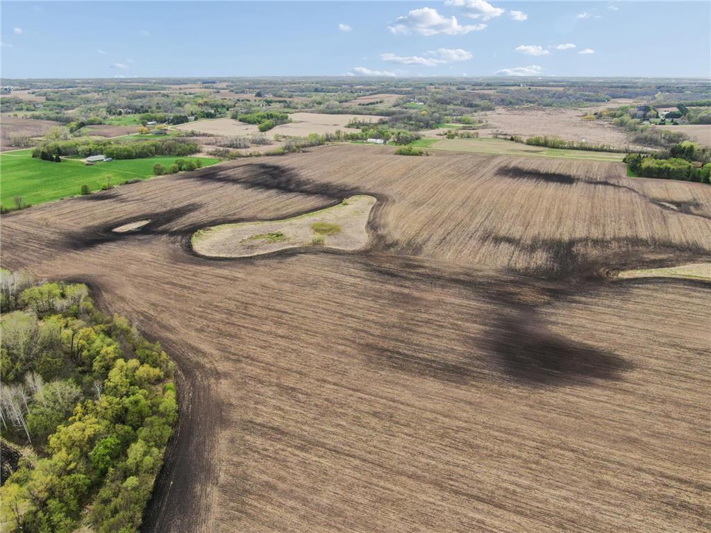 XXXX 285th (180 Acres) Street Greenvale Twp MN 55057 - Chub Creek 7012420 image41