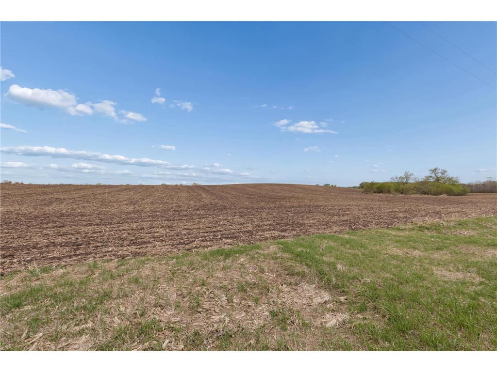 XXXX 285th (180 Acres) Street Greenvale Twp MN 55057 - Chub Creek 7012420 image42