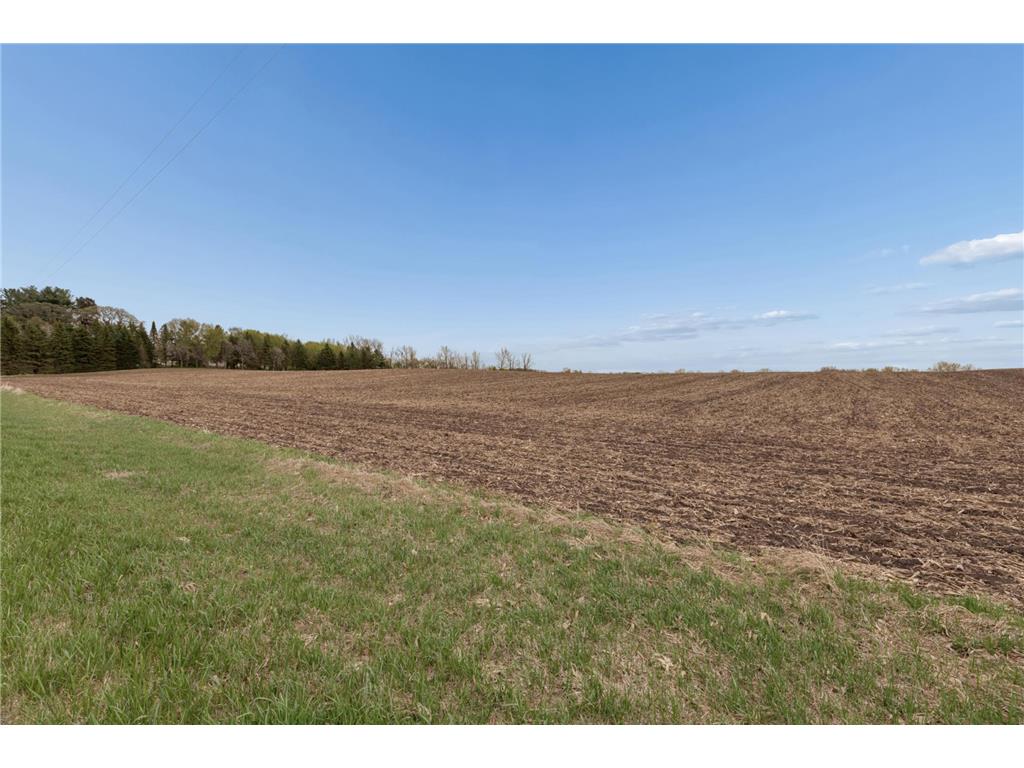 XXXX 285th (180 Acres) Street Greenvale Twp MN 55057 - Chub Creek 7012420 image43