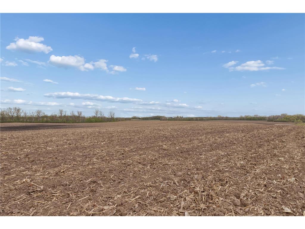 XXXX 285th (180 Acres) Street Greenvale Twp MN 55057 - Chub Creek 7012420 image45