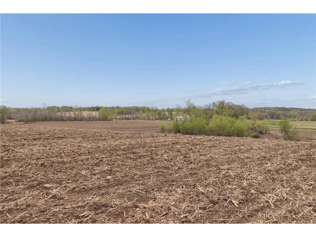 XXXX 285th (180 Acres) Street Greenvale Twp MN 55057 - Chub Creek 7012420 image47