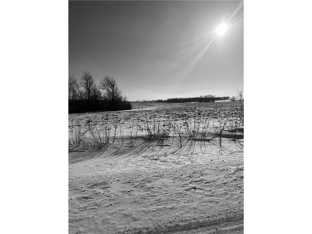 XXXX 285th (180 Acres) Street Greenvale Twp MN 55057 - Chub Creek 7012420 image5