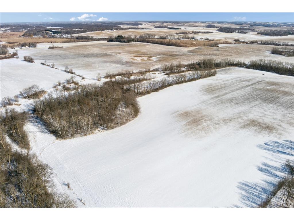 XXXX 285th (180 Acres) Street Greenvale Twp MN 55057 - Chub Creek 7012420 image50