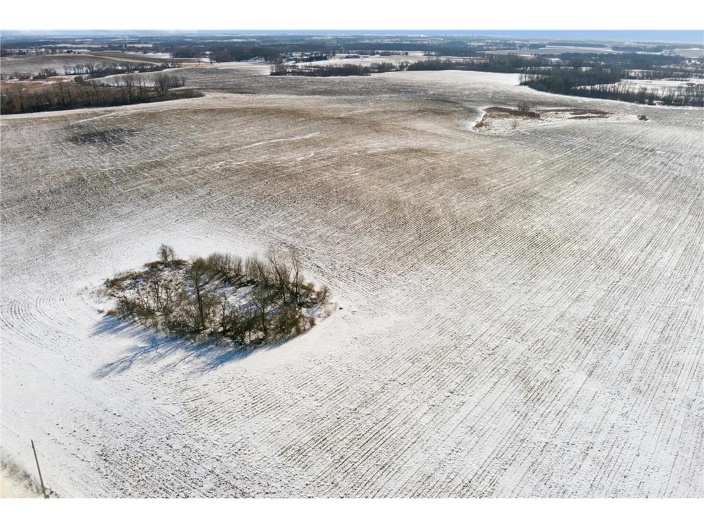 XXXX 285th (180 Acres) Street Greenvale Twp MN 55057 - Chub Creek 7012420 image59